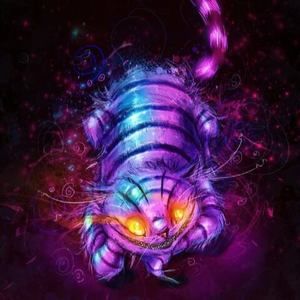 Meet your Posher, Misty