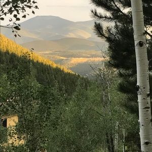 Meet your Posher, Chip