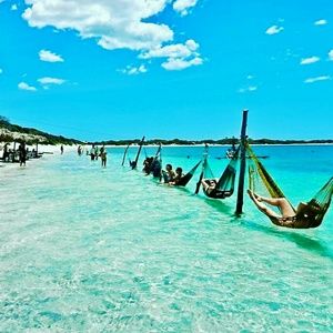 Meet your Posher, Tasha