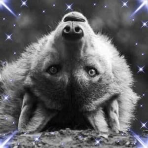 Meet your Posher, Joanne