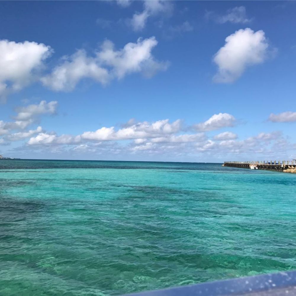 Meet your Posher, Jacquelyn