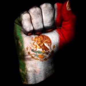 Meet your Posher, Dora