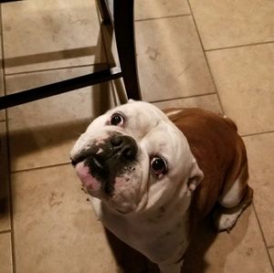 Meet your Posher, Kyle