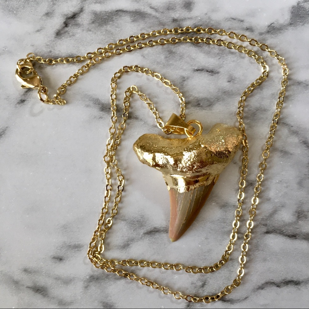 Natural Sharks Tooth 18K Gold Delicate Necklace - Picture 4 of 8