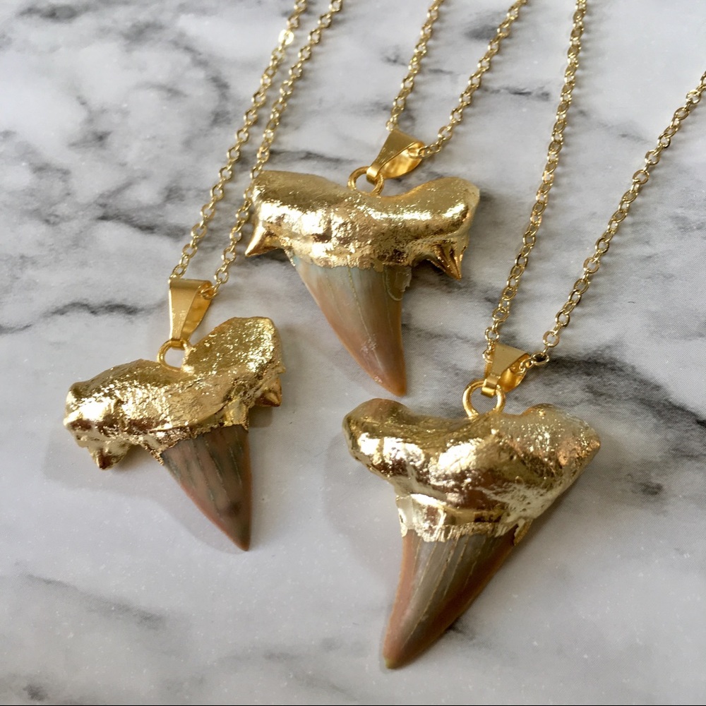 Natural Sharks Tooth 18K Gold Delicate Necklace - Picture 6 of 8