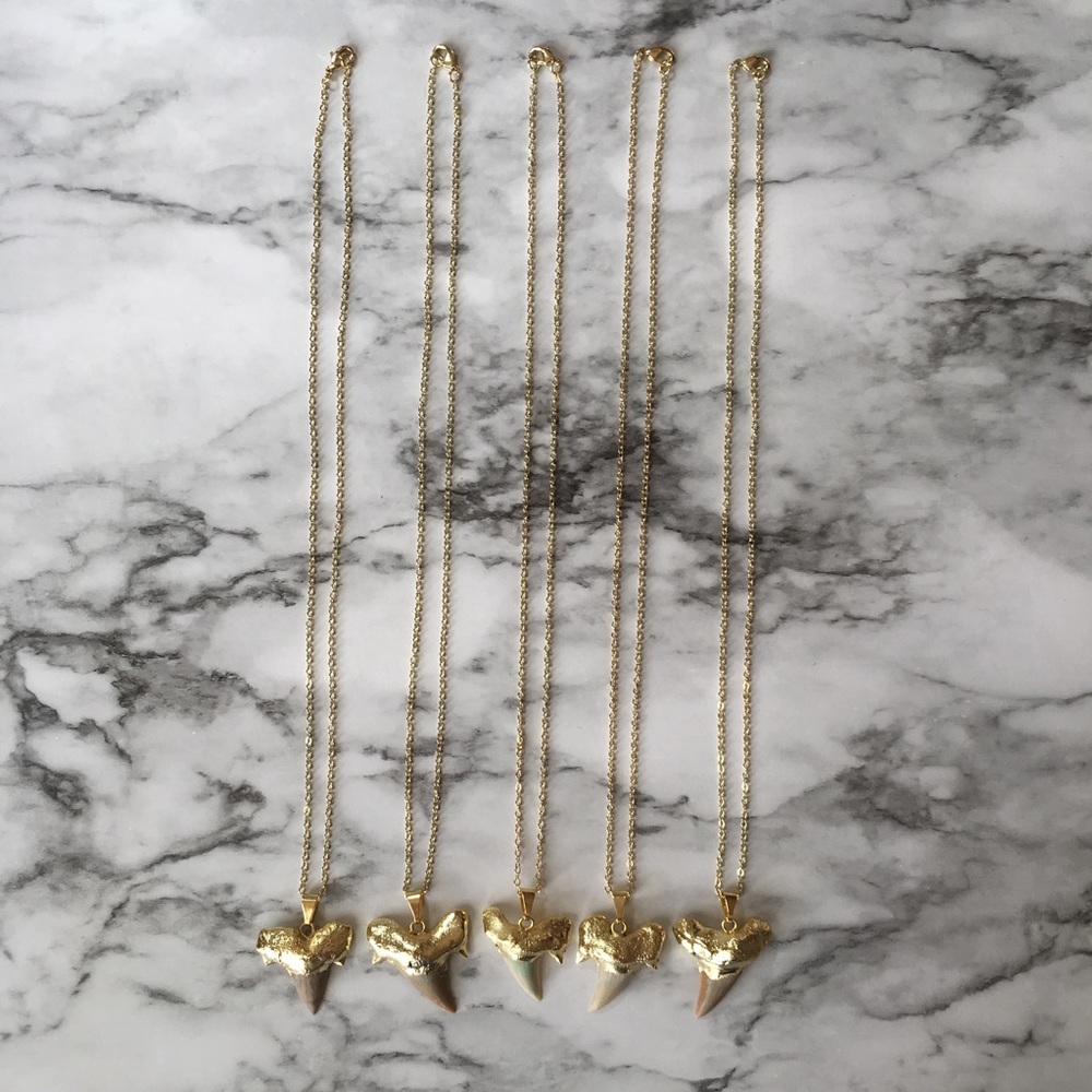 Natural Sharks Tooth 18K Gold Delicate Necklace - Picture 3 of 8