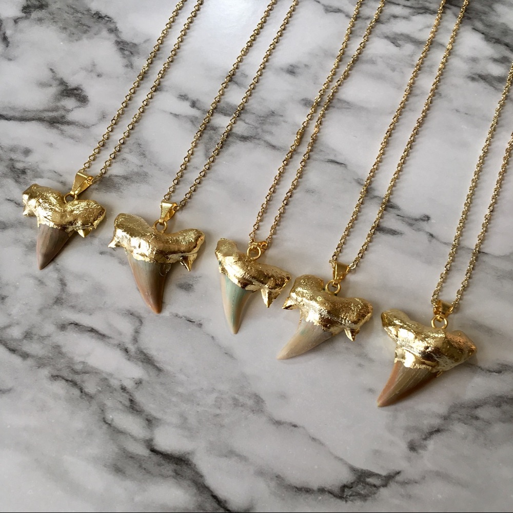 Natural Sharks Tooth 18K Gold Delicate Necklace - Picture 2 of 8