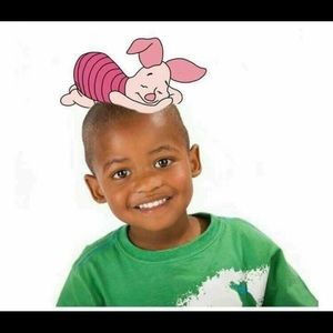 Meet your Posher, Maxwell