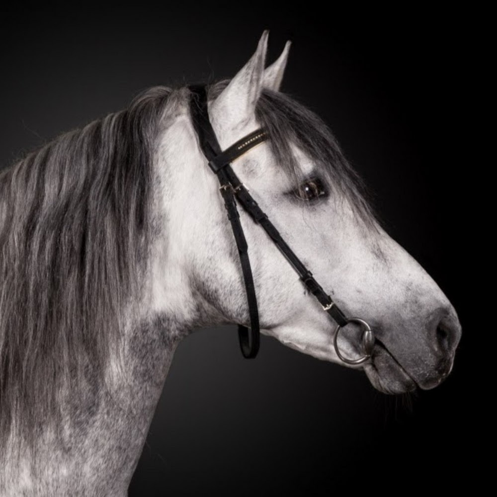 Meet your Posher, Ilona