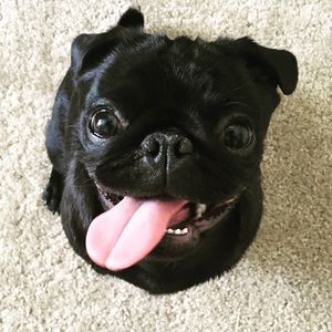 Meet your Posher, WandN