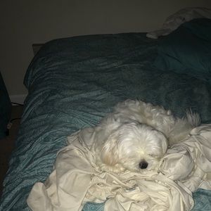 Meet your Posher, Jocelyn