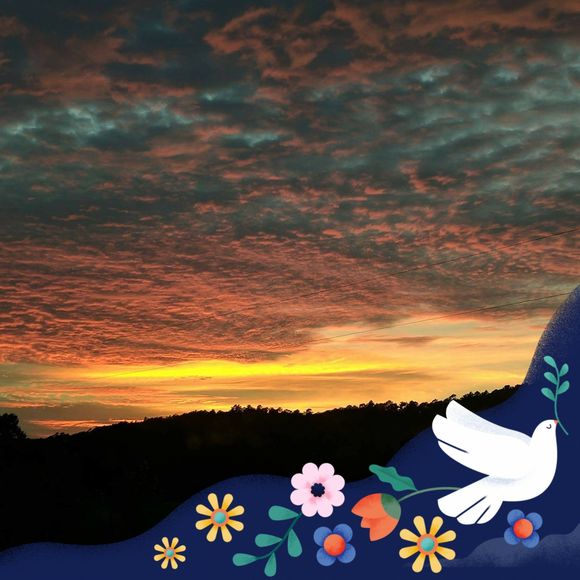 Meet your Posher, Tabatha - Picture 1 of 1