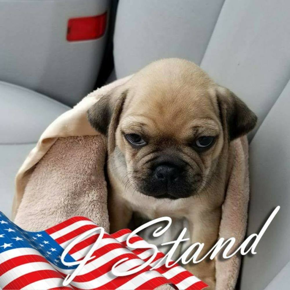 Meet your Posher, Donna