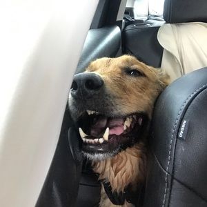 Meet your Posher, Court