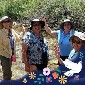 Meet your Posher, Dorothy