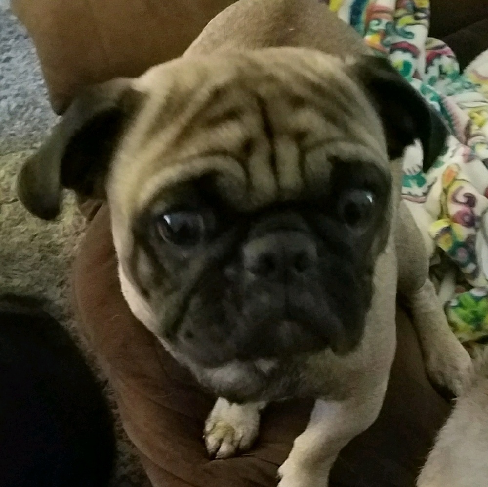 Meet your Posher, Jaclyn