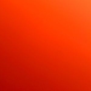 Meet your Posher, Shane