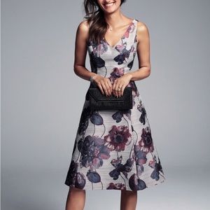 NWT Adrianna Papell fit and flare dress