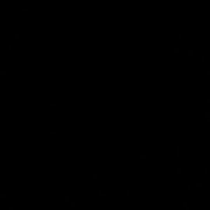 Meet your Posher, Dwight