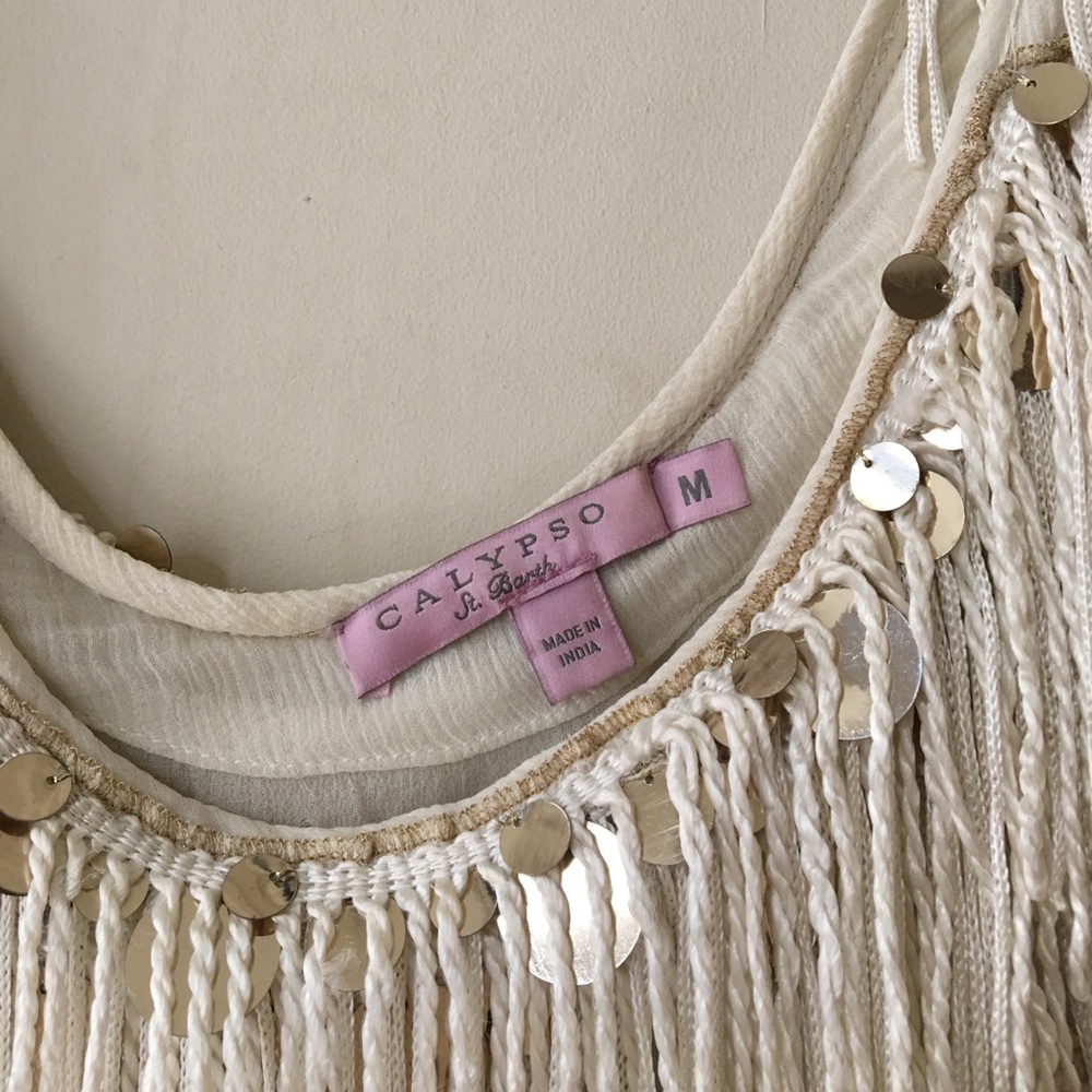 1920's flapper style Elizabetta Silk Fringe Dress - Picture 3 of 4