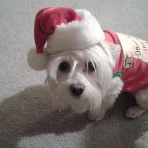 Meet your Posher, Roxanne