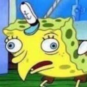 Meet your Posher, Jake