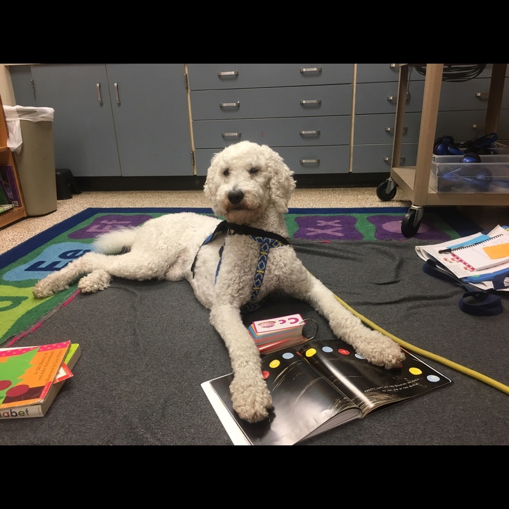 Meet your Posher, Anna