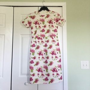 Rachel Parcell Classic Dress in Floral Bloom