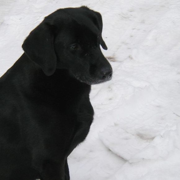 Meet your Posher, Christine - Picture 1 of 1