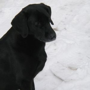 Meet your Posher, Christine