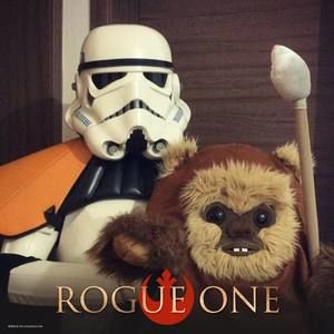 Meet your Posher, Wayne