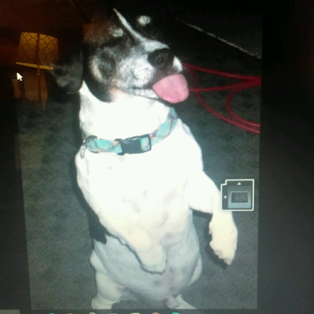 Meet your Posher, Erin