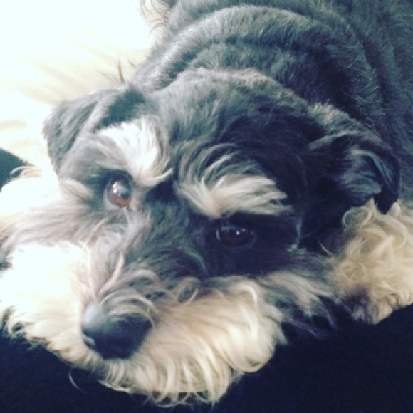 Meet Your Posher - Picture 3 of 3