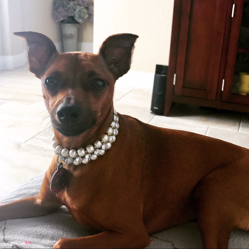 Penny **NOT FOR SALE**