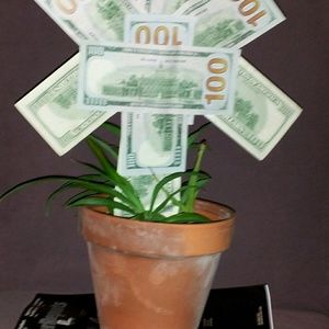 Meet your Posher, Marco