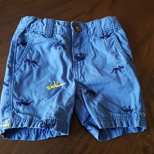 Dino Shorts