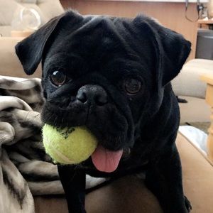 Meet your Posher, Lindsey