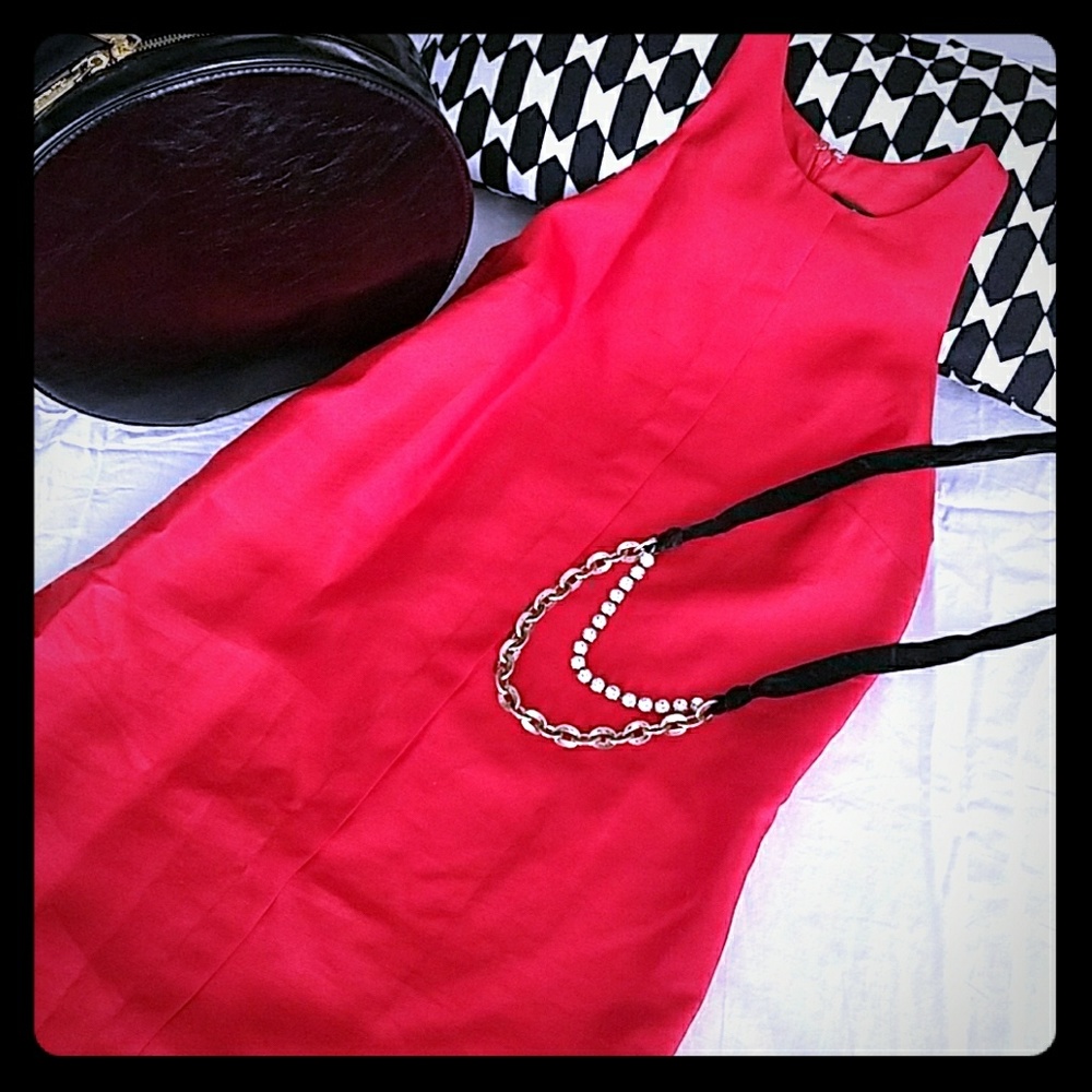 Club Monaco Raw Silk Dress