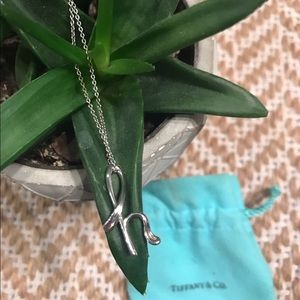 Elsa Peretti Tiffany & Co letter "h" necklace