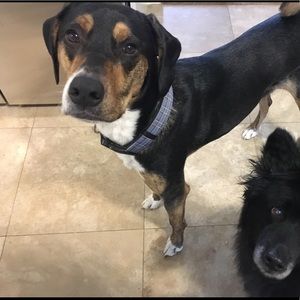 Meet your Posher, Beth