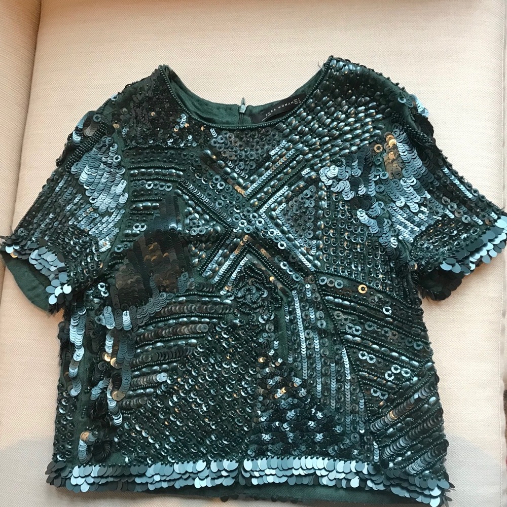 Zara Sequin top