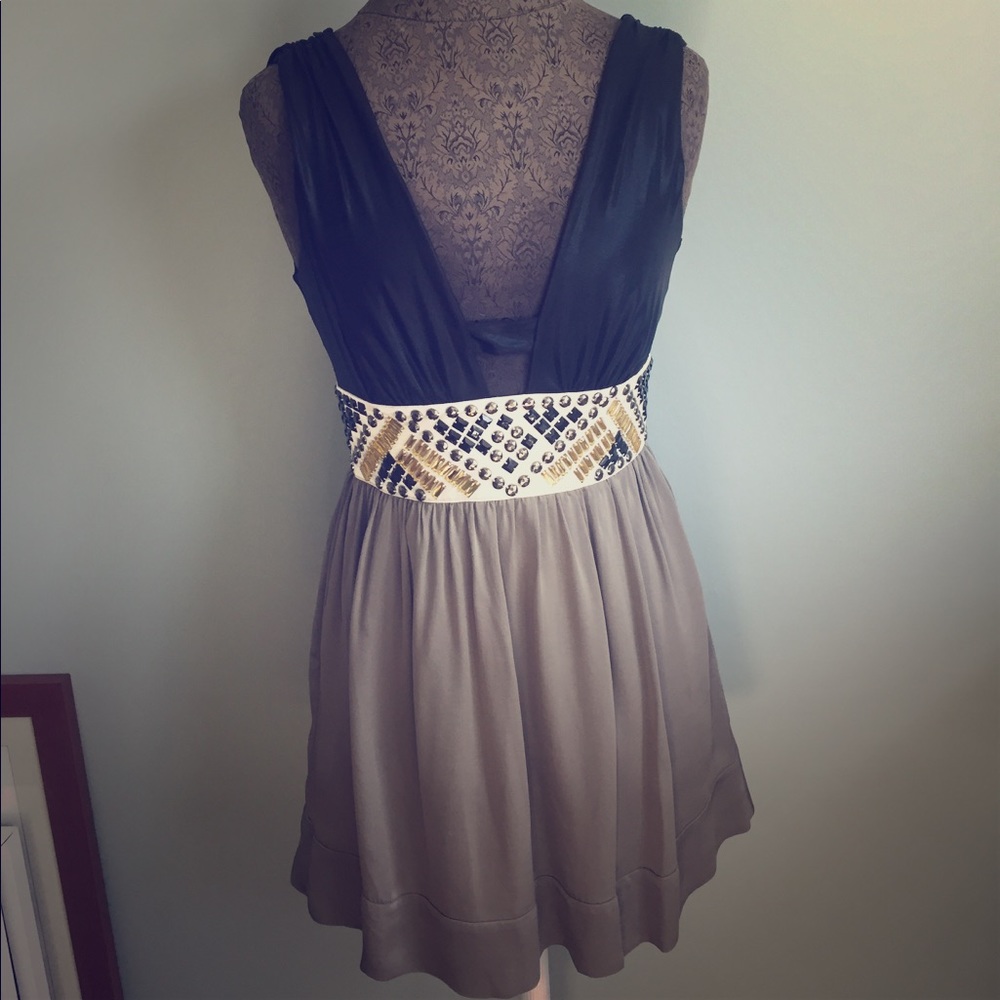 Silk Bebe Deep V Dress