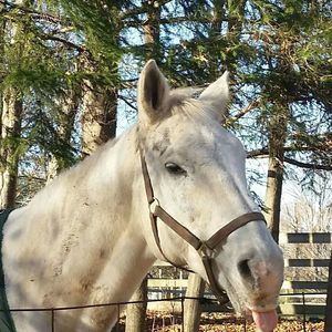 Meet your Posher, Candi