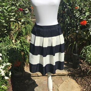Navy//White Pleated Skirt