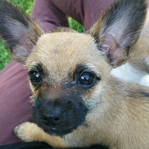 Meet your Posher, Jesse