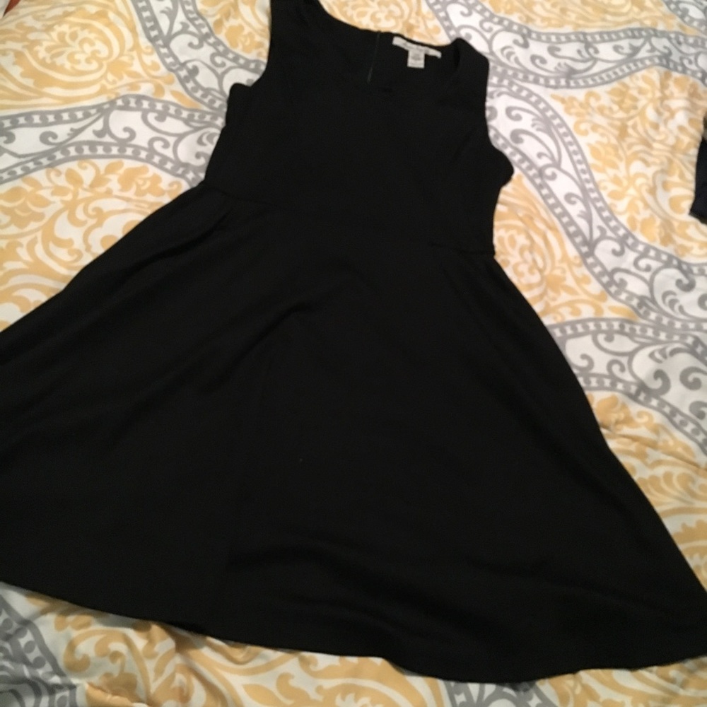 American Rag fit and flare