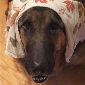 Meet your Posher, Kaitlin