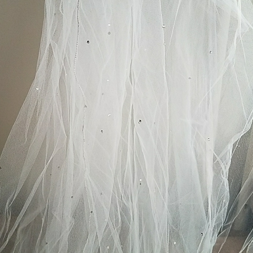 Cathedral wedding veil
