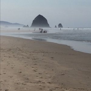 Meet your Posher, Annie