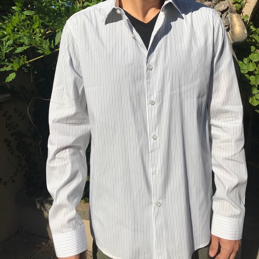 Theory Pin Stripe Button Down